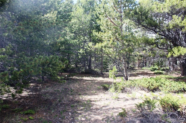 GROUP2-1 Lamertine Rd, Idaho Springs, CO 80452