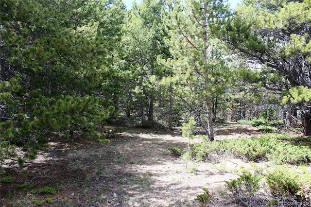 GROUP2-1 Lamertine Rd, Idaho Springs, CO 80452