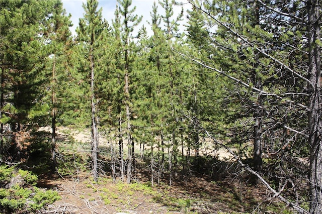 GROUP2-1 Lamertine Rd, Idaho Springs, CO 80452