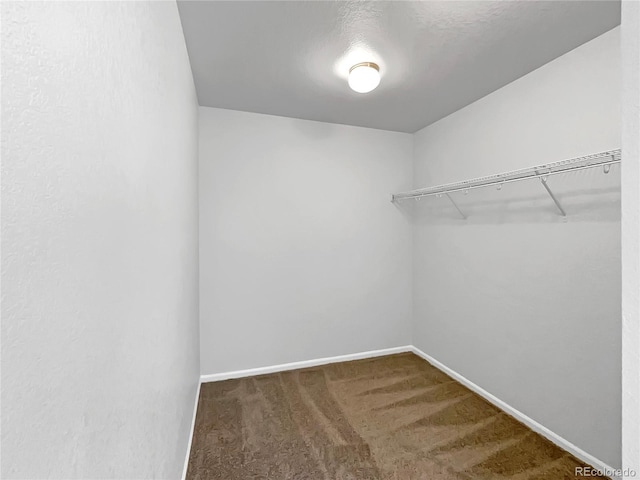 spacious closet featuring dark colored carpet