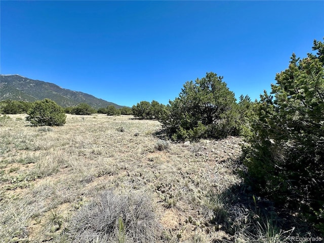 3417 Camino Del Rey, Crestone, CO 81131 - photo 9