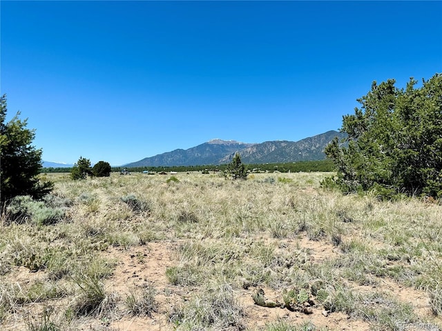 3417 Camino Del Rey, Crestone, CO 81131 - photo 10