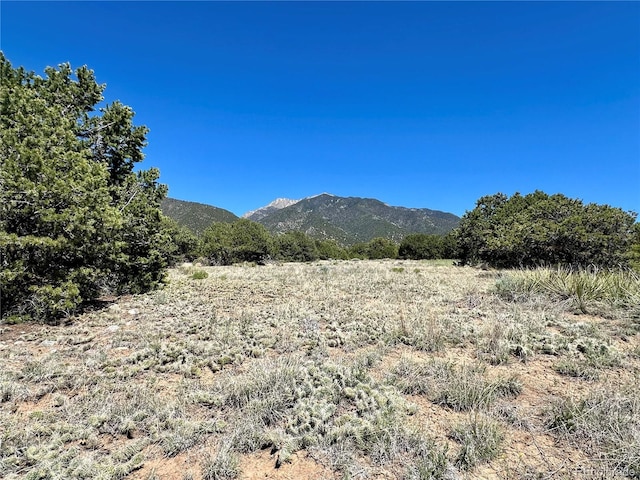 3417 Camino Del Rey, Crestone, CO 81131 - photo 19
