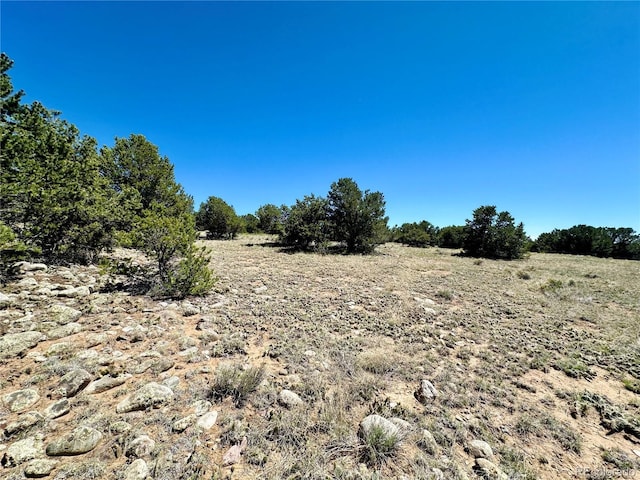 3417 Camino Del Rey, Crestone, CO 81131 - photo 27