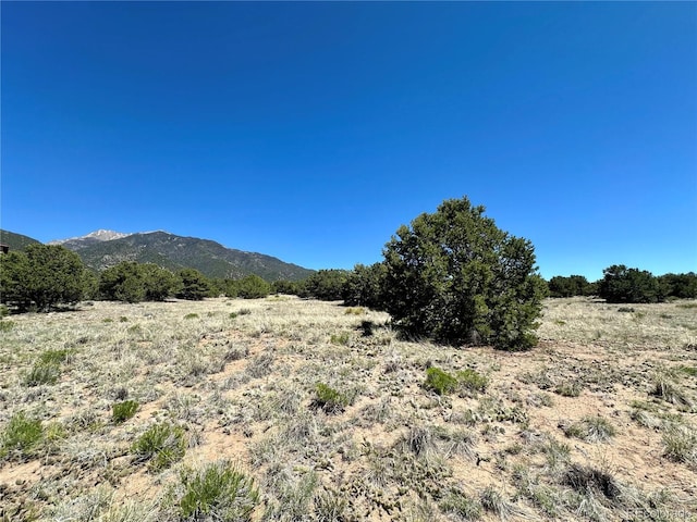 3417 Camino Del Rey, Crestone, CO 81131 - photo 30