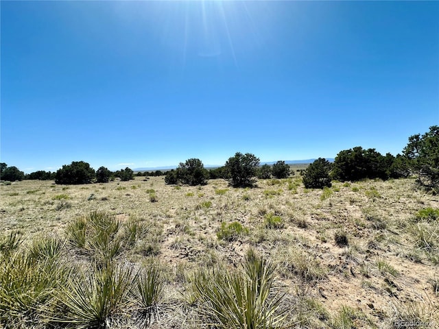 3417 Camino Del Rey, Crestone, CO 81131 - photo 31
