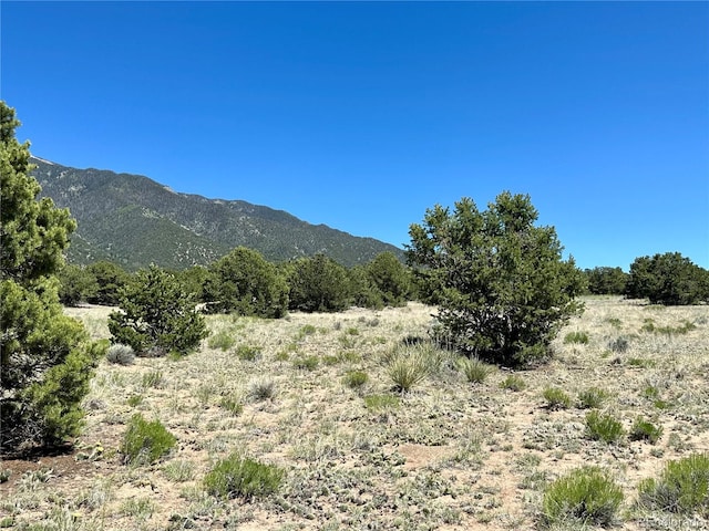 3417 Camino Del Rey, Crestone, CO 81131 - photo 40