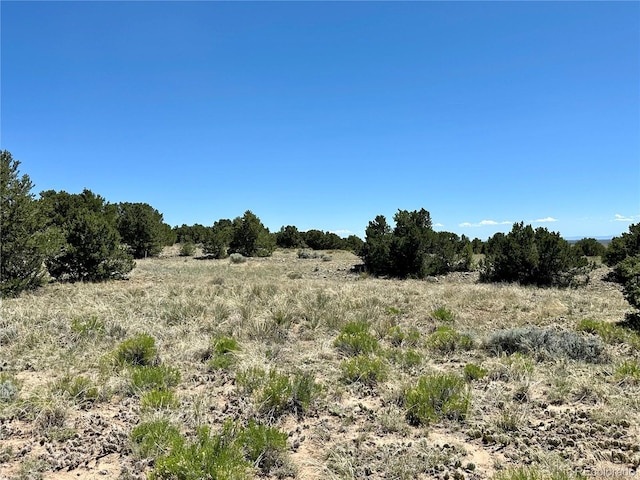 3417 Camino Del Rey, Crestone, CO 81131 - photo 41