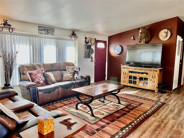 living room featuring hardwood / wood-style flooring and a textured ceiling