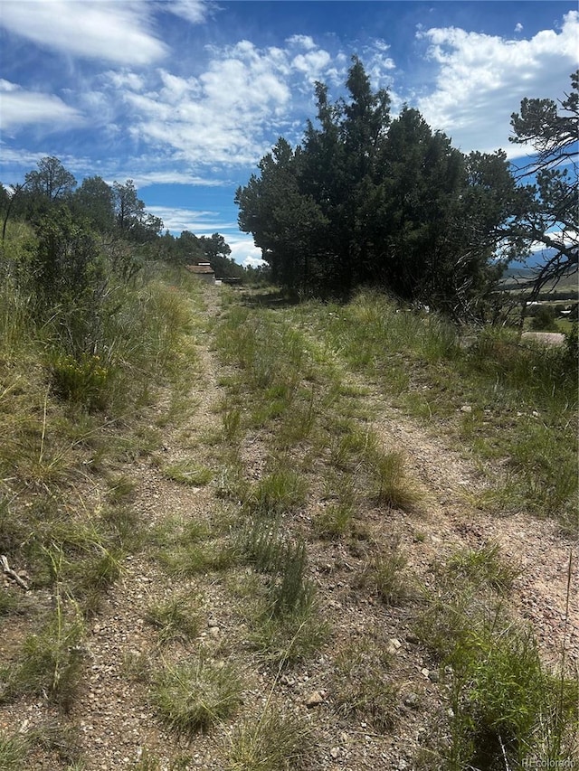 1880 Copper Gulch Rd, Cotopaxi, CO 81223
