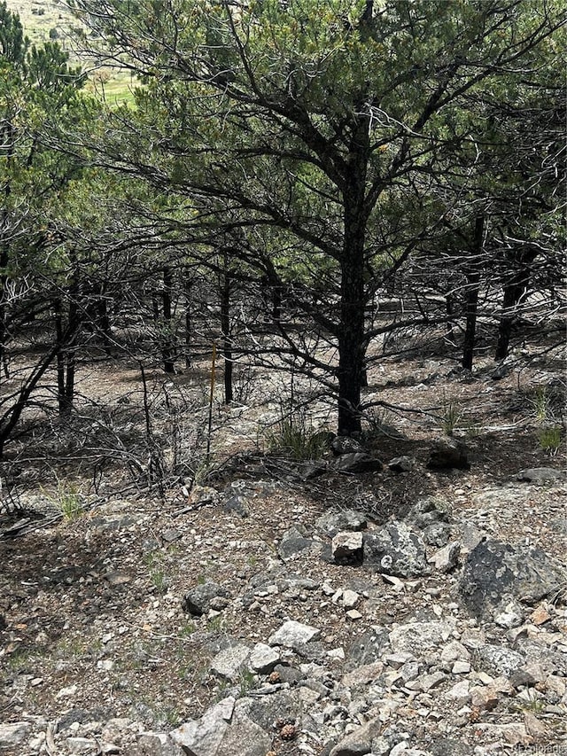 1880 Copper Gulch Rd, Cotopaxi, CO 81223
