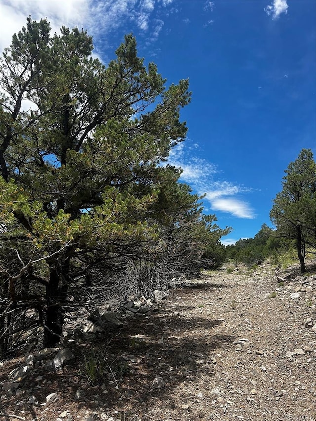 1880 Copper Gulch Rd, Cotopaxi, CO 81223