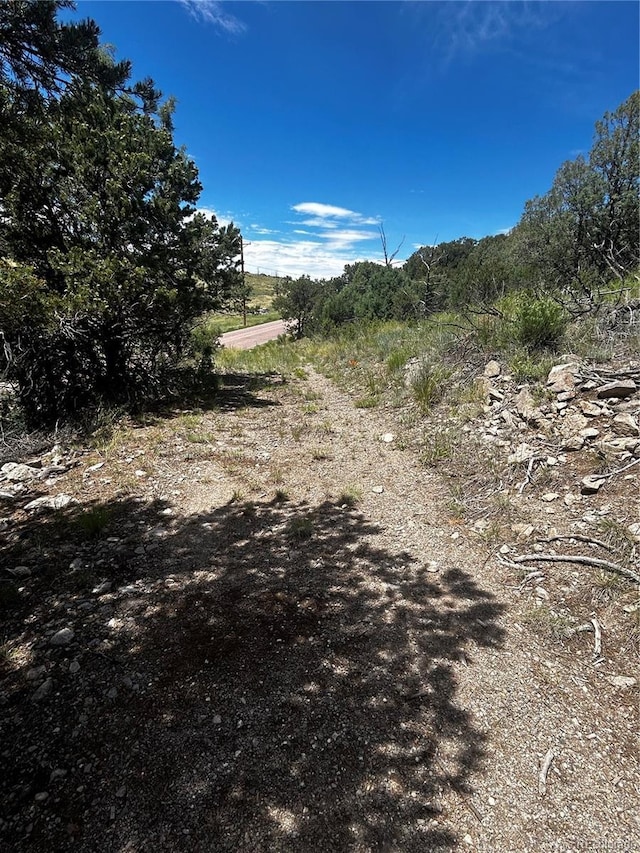 1880 Copper Gulch Rd, Cotopaxi, CO 81223