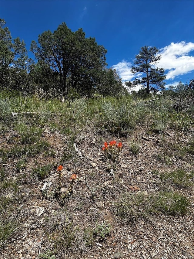 1880 Copper Gulch Rd, Cotopaxi, CO 81223