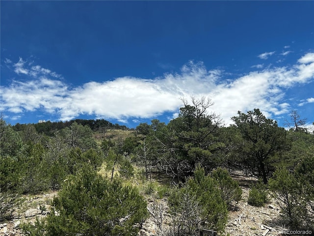 1880 Copper Gulch Rd, Cotopaxi, CO 81223