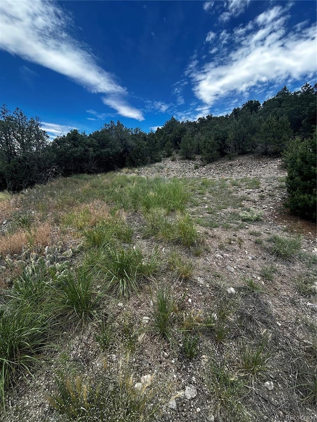 1880 Copper Gulch Rd, Cotopaxi, CO 81223