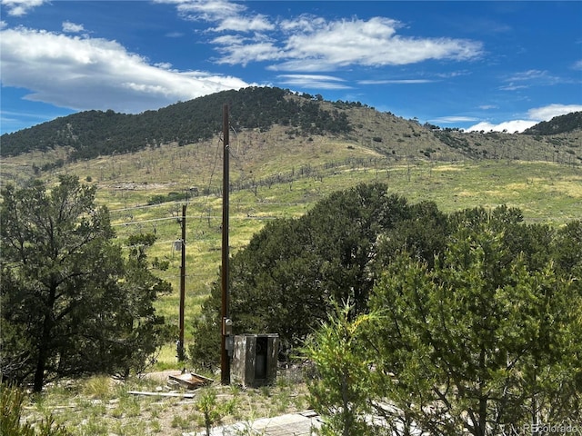 1880 Copper Gulch Rd, Cotopaxi, CO 81223