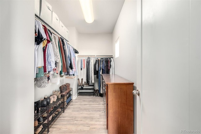 spacious closet featuring light wood finished floors
