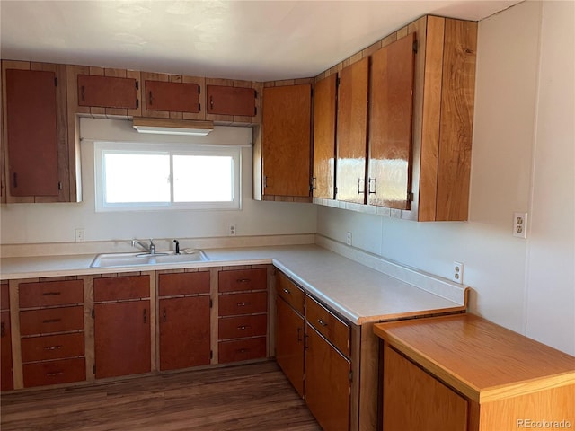 kitchen with dark hardwood / wood-style floors and sink