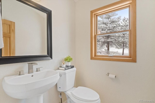 bathroom featuring a sink and toilet