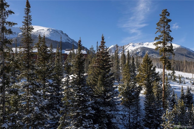 property view of mountains with a forest view