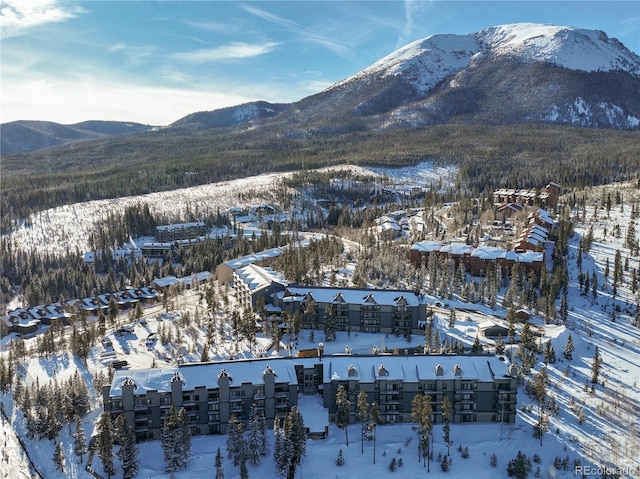 snowy aerial view featuring a mountain view