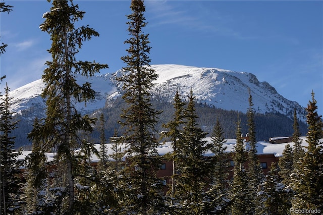 property view of mountains featuring a view of trees