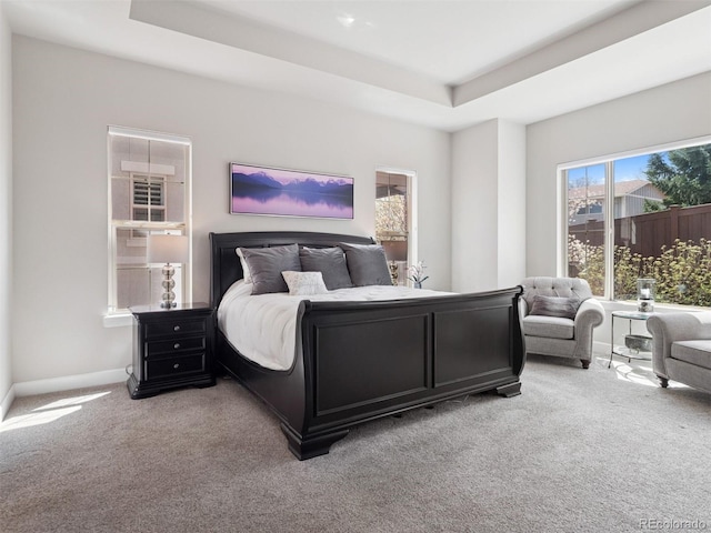 6970 E Lake Dr, Centennial, CO 80111 - bedroom with baseboards, a raised ceiling, and light carpet