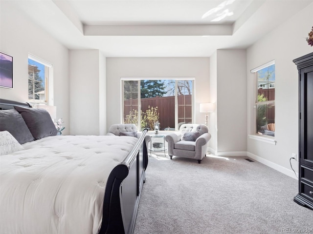6970 E Lake Dr, Centennial, CO 80111 - carpeted bedroom featuring a raised ceiling and baseboards