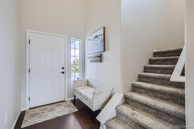 entryway featuring dark wood-type flooring