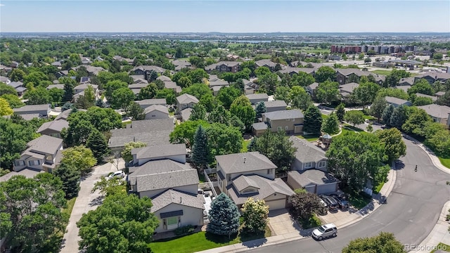 10532 Madison St, Thornton, CO 80233 - photo 41