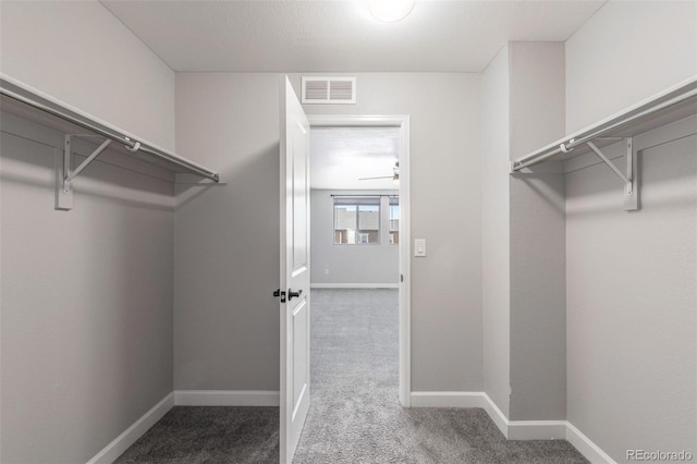 3338 Ireland Moss St, Castle Rock, CO 80109 - spacious closet with dark carpet
