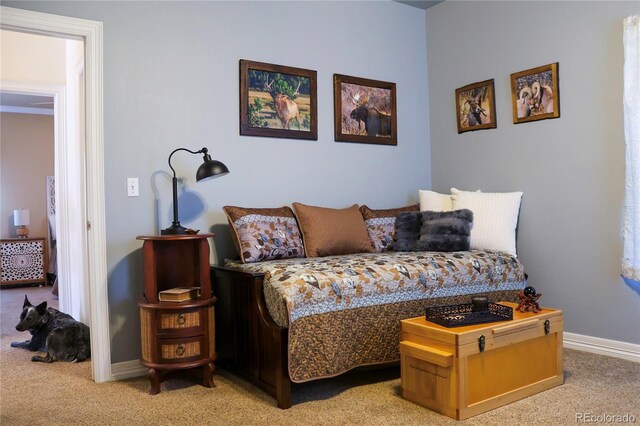 2501 Remington Rd, Elizabeth, CO 80107 - photo 27