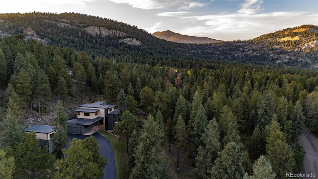 32651 Buffalo Creek Rd, Evergreen, CO 80439 - view of mountain backdrop featuring a heavily wooded area