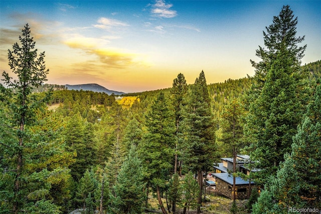 32651 Buffalo Creek Rd, Evergreen, CO 80439 - view of mountain backdrop with a heavily wooded area