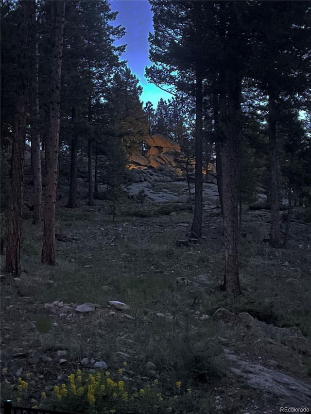 32651 Buffalo Creek Rd, Evergreen, CO 80439 - view of undeveloped land