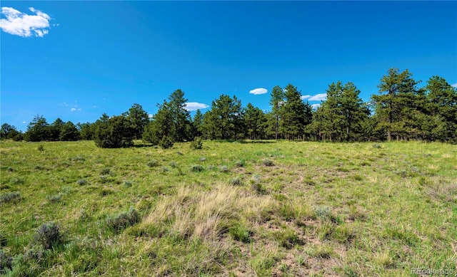 343 Shawnee Trl, Westcliffe, CO 81252
