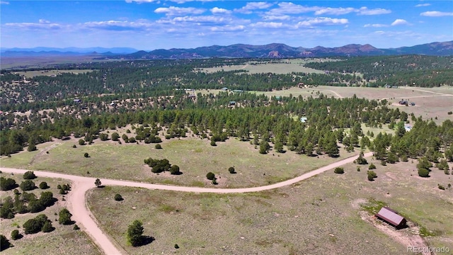 343 Shawnee Trl, Westcliffe, CO 81252