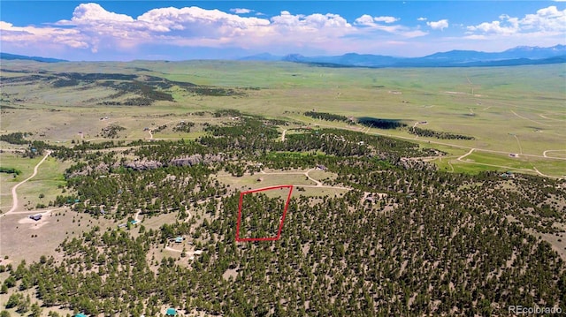 343 Shawnee Trl, Westcliffe, CO 81252