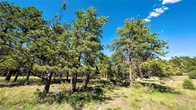 343 Shawnee Trl, Westcliffe, CO 81252