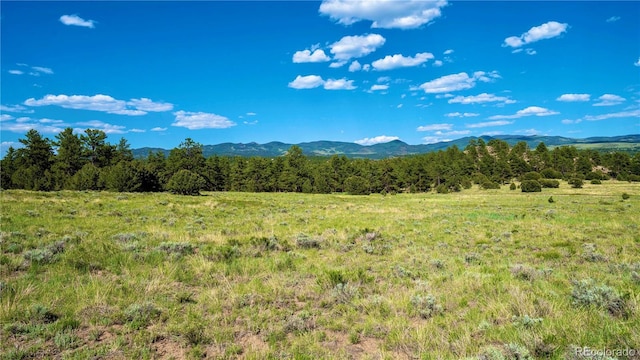 343 Shawnee Trl, Westcliffe, CO 81252