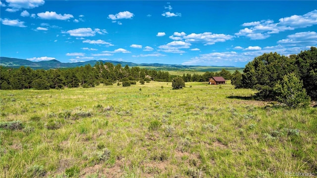 343 Shawnee Trl, Westcliffe, CO 81252