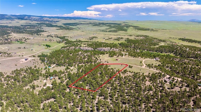 343 Shawnee Trl, Westcliffe, CO 81252