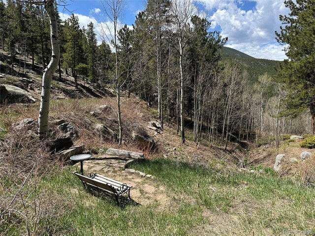 72 Rudi Ln W, Golden, CO 80403 - view of yard featuring a wooded view