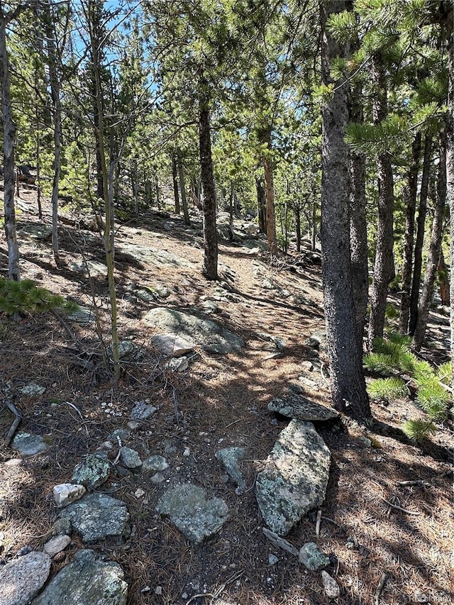 72 Rudi Ln W, Golden, CO 80403 - view of local wilderness