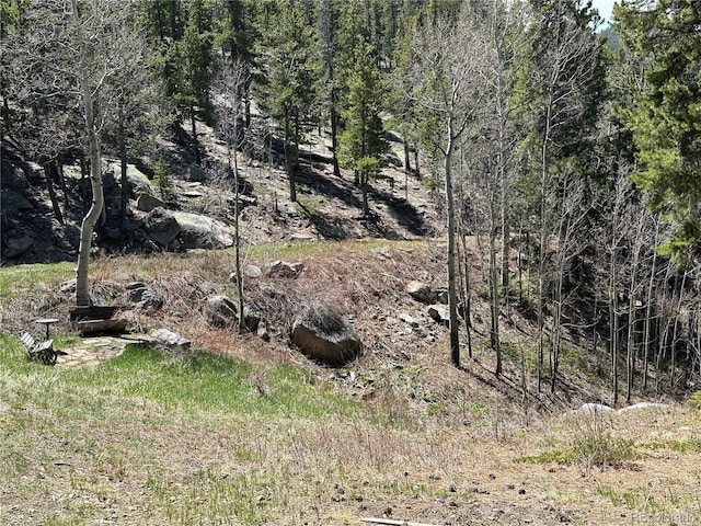 72 Rudi Ln W, Golden, CO 80403 - view of local wilderness