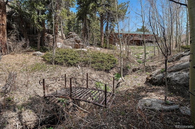 72 Rudi Ln W, Golden, CO 80403 - view of undeveloped land