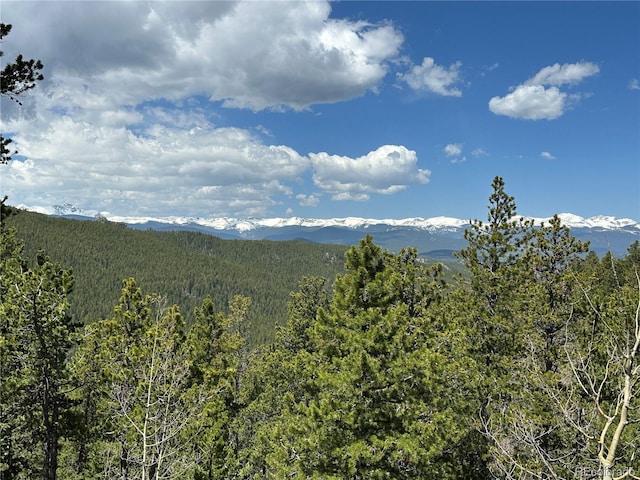 72 Rudi Ln W, Golden, CO 80403 - photo 39