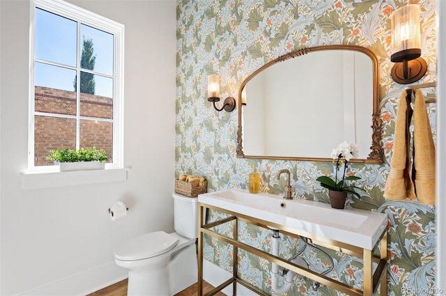 bathroom with wood-type flooring, toilet, and a wealth of natural light