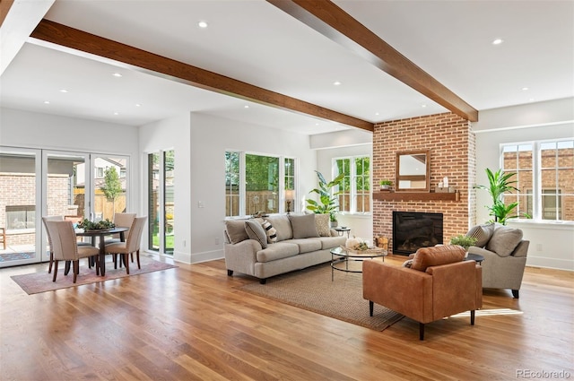 living room with a fireplace, light hardwood / wood-style floors, and a healthy amount of sunlight